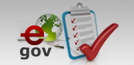 e-gov standards